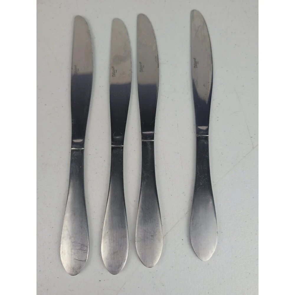 Pfaltzgraff 18/10 Stainless Steel SALISBURY SATIN Lot of 4 Dinner Knives 9 3/8
